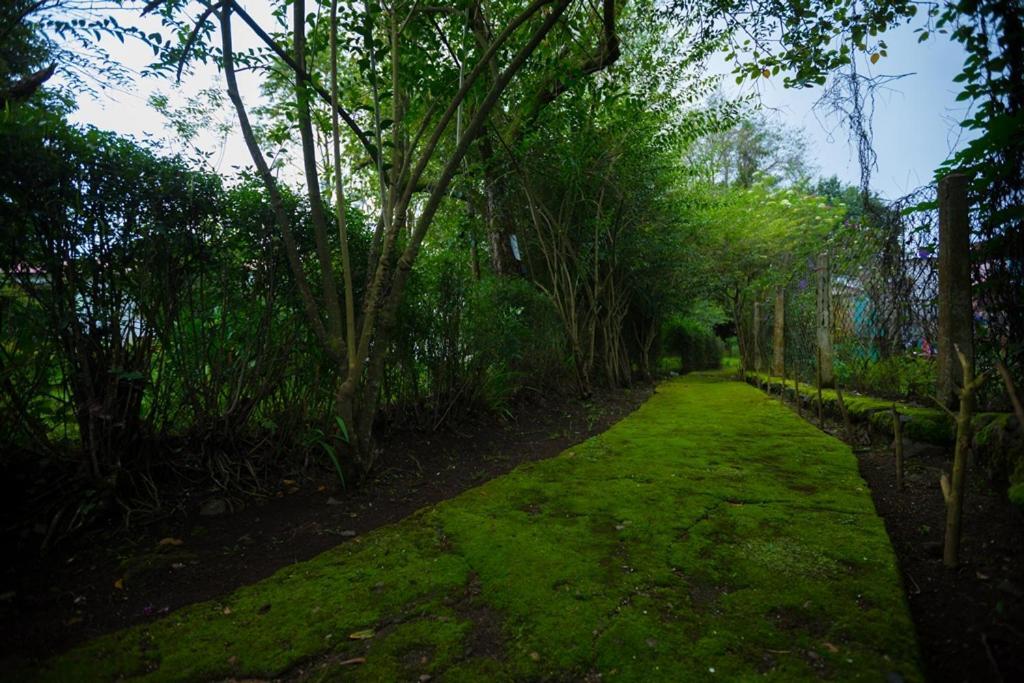 Hotel Kodai International Kodaikanal Bagian luar foto